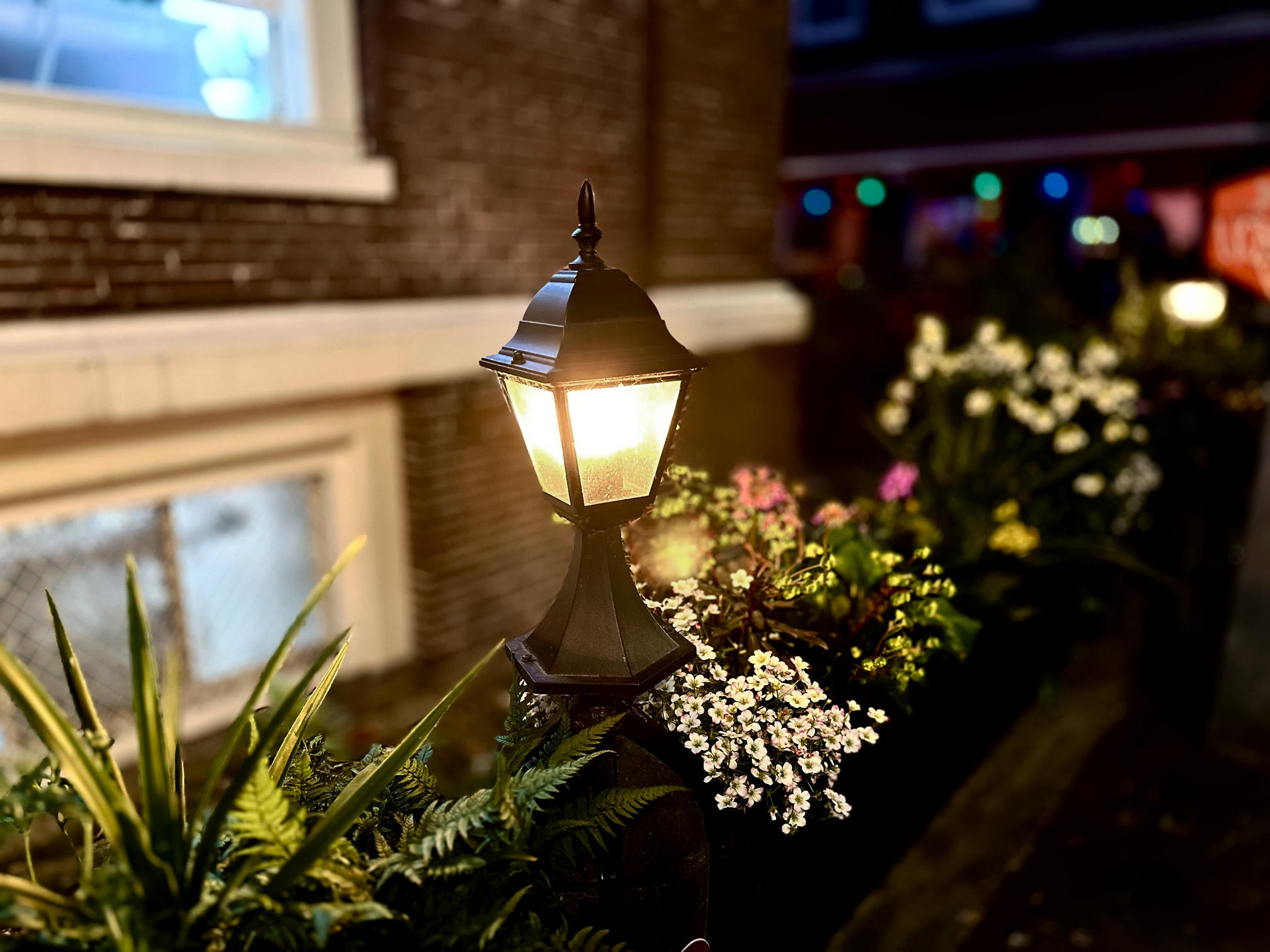 Landscape lighting illuminating outdoor spaces at dusk